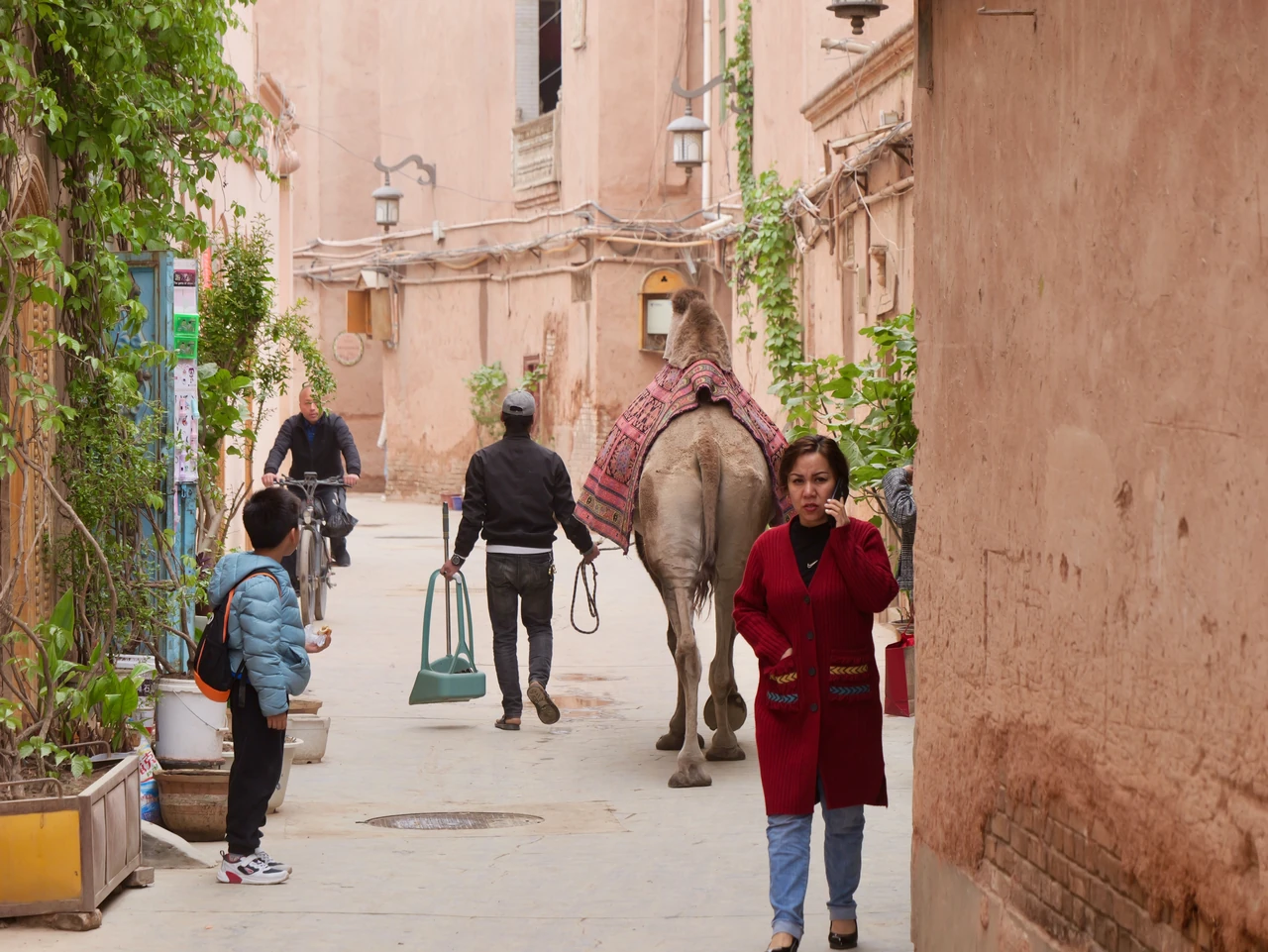 People walking along a street lined with plants and warm-coloured walls.