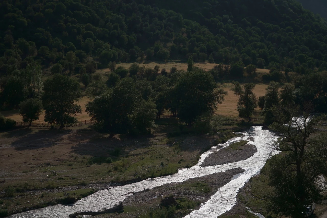 A river winding through a wooded mountain valley.